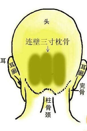 腰窩命理|一泓師傅：骨相學中的這些部位代表你的運勢和成就！